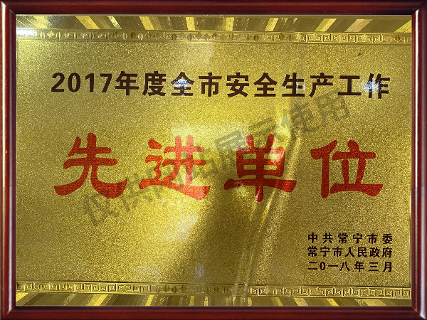 2017全市安全生産工(gōng)作(zuò)先進單位